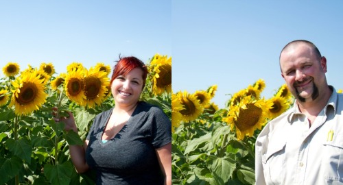 Sunflower Photo 7 copy